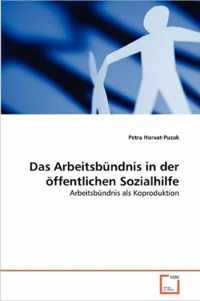 Das Arbeitsbundnis in der oeffentlichen Sozialhilfe