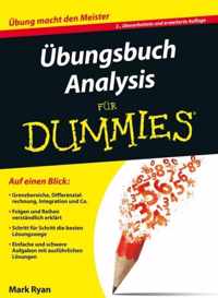 Übungsbuch Analysis für Dummies