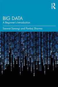 Big Data: A Beginner's Introduction