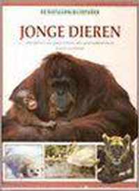 Jonge dieren