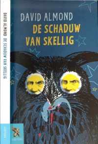 De schaduw van Skellig