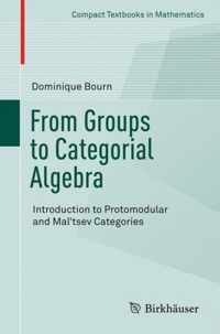 From Groups to Categorial Algebra: Introduction to Protomodular and Mal'tsev Categories