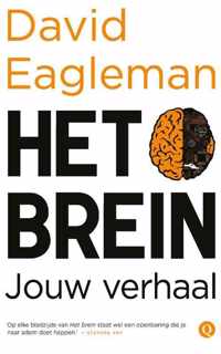 Het brein