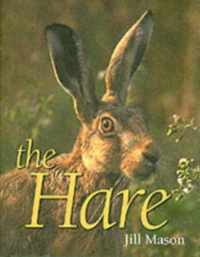 Hare