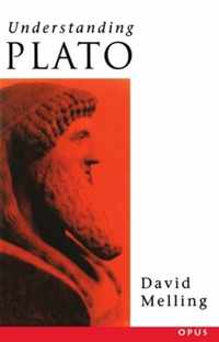 Understanding Plato