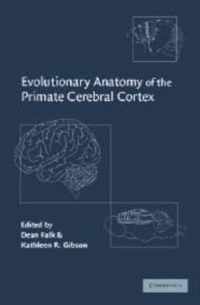 Evolutionary Anatomy of the Primate Cerebral Cortex