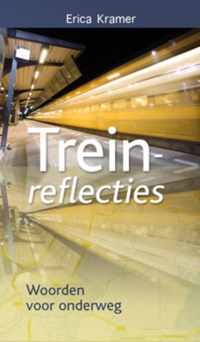 Treinreflecties