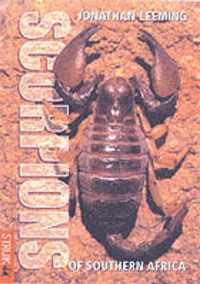 Scorpions of Southern Africa