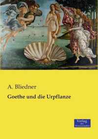 Goethe und die Urpflanze