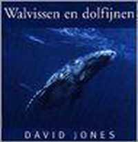 Walvissen