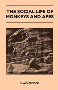 The Social Life of Monkeys and Apes