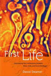 First Life