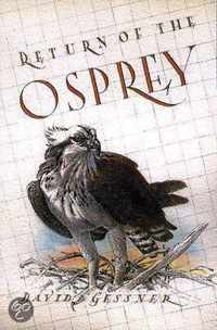 Return of the Osprey