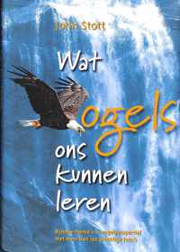 Wat vogels ons kunnen leren