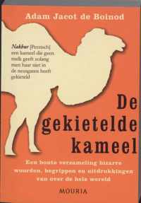 De Gekietelde Kameel