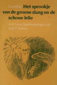 Het sprookje van de groene slang en de schone lelie