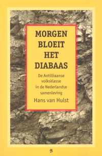 Morgen bloeit het diabaas