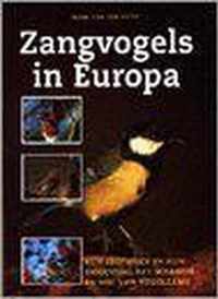 Zangvogels in Europa