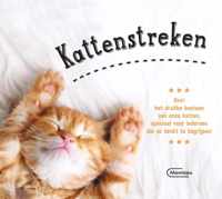 Kattenstreken