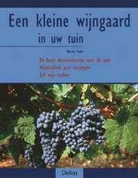 Kleine Wijngaard In Uw Tuin