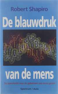 De blauwdruk van de mens