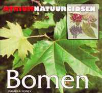 Bomen