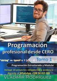 Programación profesional desde CERO (Tomo 1): Cómo programar software de mediano y alto porte