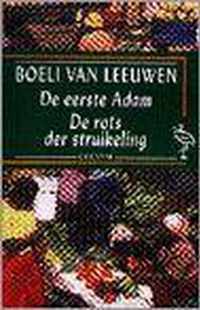 Eerste adam (ooievaar)