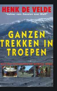 Ganzen trekken in troepen