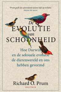 De evolutie van schoonheid