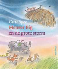 Meneer Big en de grote storm