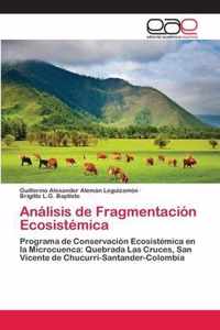 Analisis de Fragmentacion Ecosistemica