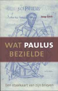 Wat Paulus bezielde