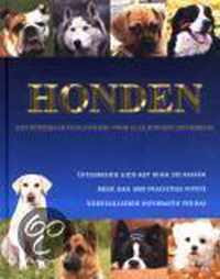 Honden