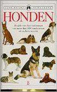 Honden