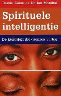 Spirituele Intelligentie