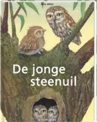 De jonge steenuil