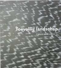 Toevallig landschap