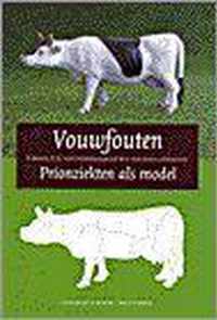 Vouwfouten