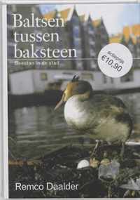 Baltsen Tussen Baksteen