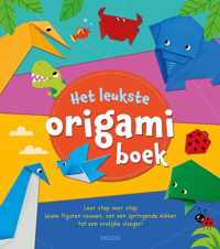 Het leukste origamiboek