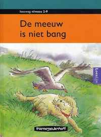 De meeuw is niet bang