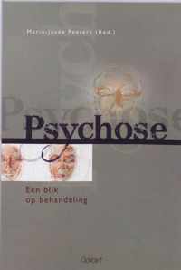 Psychose, een blik op behandeling