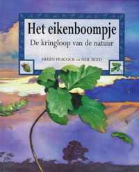 Eikenboompje