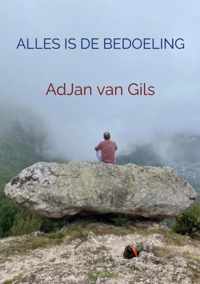 Alles is de bedoeling - Adjan van Gils - Paperback (9789464486797)