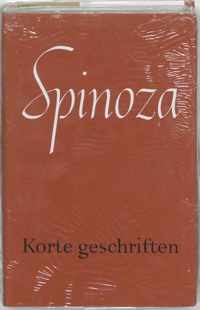 Werken van B. de Spinoza  -   Korte geschriften