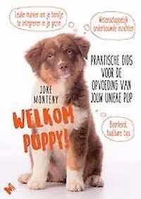 Welkom puppy