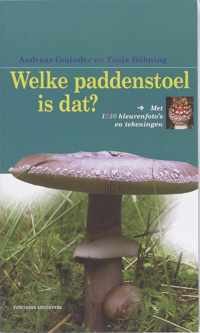 Welke Paddestoel Is Dat