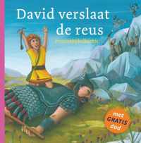 David verslaat de reus