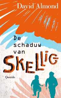 De schaduw van Skellig